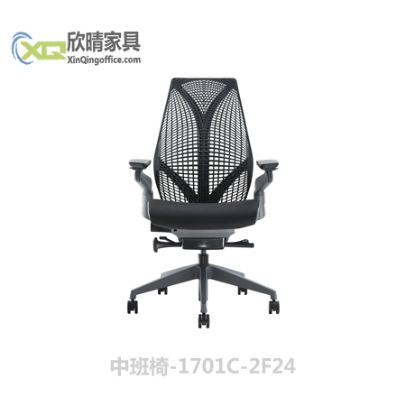 徐汇办公家具之中班椅-1701C-2F24厂家